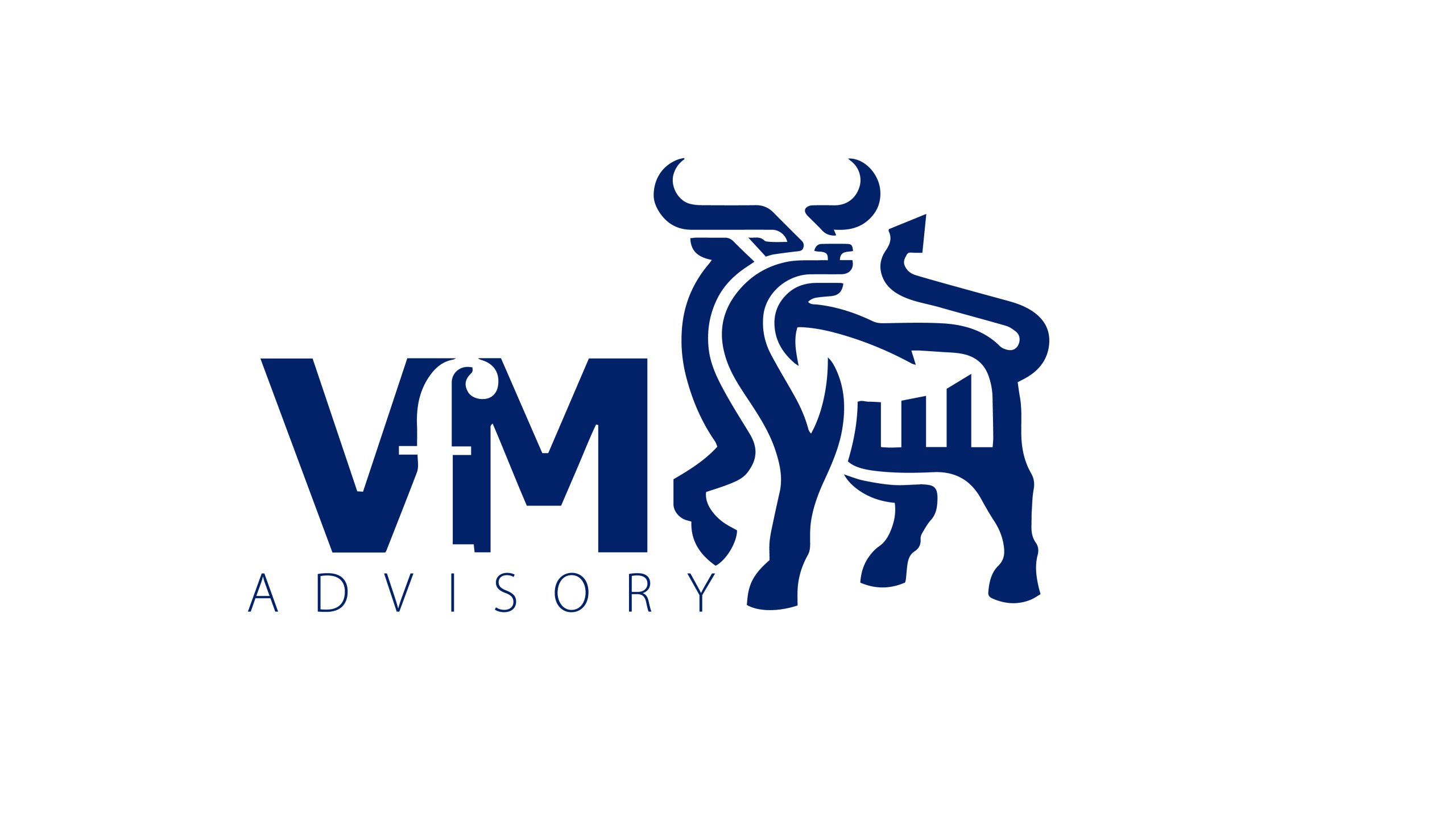 VFM Advisory Services Logo